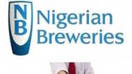 Working at Nigerian Breweries: Salary