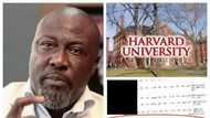 Harvard University replies after Dino Melaye claimed he got a degree from the university