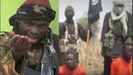 Boko Haram releases video of execution of alleged government spies (watch full video)