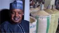 We are importing poison, not rice – Presidential committee
