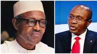 Naira scarcity: FG under fire for allegedly 'investing' in MMM