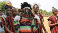 Discover the amazing culture of Benue State people