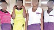 Police arrest 10 JSS students, aged 14 and 15 for defiling and initiating 30 teenagers into cultism in Enugu