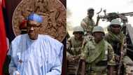 Killings: Buhari orders military operation for Zamfara, Kaduna