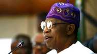 Babu wanda aka kashe a Lekki Toll Gate: Lai Mohammed ya yi watsi da rahoton kwamitin EndSARS