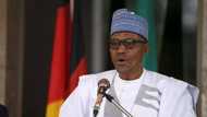 Breaking: I would seek reelection in 2019 - Buhari finally announces at NEC meeting (photos)