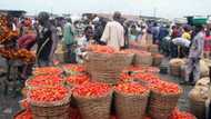 Top 10 Foodstuff Markets In Lagos