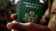 Discover ☑ where to find your passport book number