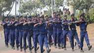 Civil defence recruitment 2017/2018: How to apply?