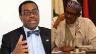 We are proud of you - Buhari congratulates ex-Agric minister, Adesina, on world food prize