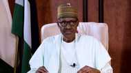Dalilin da ya sanya Majalisar Tarayya ke bani takaici - Shugaba Buhari