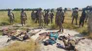 Deaths as Boko Haram ambushes Army in Borno, 6 arrested in Kaduna