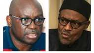 Nigerians voted for killings, lies, hunger and court disobedience when they elected Buhari – Fayose