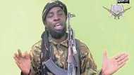 Something bad is happening to Shekau as Army gets stern warning