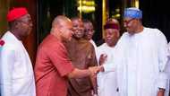 Anti-grazing: Igbo elders tackle south east governors over non-passage of laws