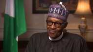 Breaking: President Buhari makes 5 fresh CBN appointments