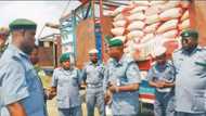 Nigeria Customs reacts to allegations of distributing poisoned rice at Seme border command
