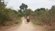 Banditry: Official says Akwa Ibom women now go to farm with weapons for protection