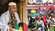 Biafra: IPOB reveals what Nnamdi Kanu is to do about death of its member