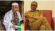 Just in: Produce Nnamdi Kanu now - Court orders Senator Abaribe