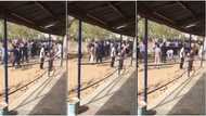 This VIDEO of Borno students getting flogged as they struggle to buy JAMB forms will make you mad at Nigeria