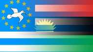 Unbelievable! Read how Biafra may achieve independence with the help of Cameroon