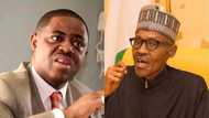 Fani-Kayode warns Buhari to take Obasanjo, Tinubu’s advice on Nnamdi Kanu, IPOB
