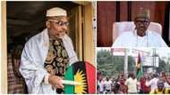 How government hired a look-alike Sudanese man to come and stand in for Buhari - Nnamdi Kanu (video)