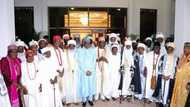 See how President Buhari received all Traditional Rulers in Nigeria (photos)