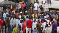 Senate buying 6.1bn cars, ASUU going on strike over poor pay - Nigerians react to ASUU strike