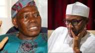 Ka yi alkawarin zaben Tinubu matsayin mataimakinka amma ka saba: Akande ga Buhari