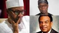 Corruption, laziness, selfishness is holding Nigeria to slavery - Former US Ambassador
