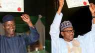 Certificate scandal: SEE 4 qualifications Nigerian politicians need to contest
