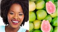 Why should we include guava in our diet? Fruit health benefits and side effects