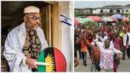 How Senate has shown that Nigeria can never be one - IPOB