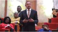 Senate rejects Ben Bruce’s bill to phase out petrol cars by 2035