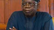Oyo APC crisis: Cooperate with Ajimobi - Tinubu tells party members