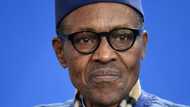 LIST: 3 inconsistencies in President Buhari's medical vacation