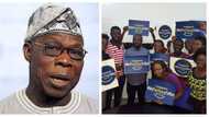 Obasanjo replies young Nigerians who begged him to help search for young leaders ahead of 2019