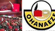 Ohaneze na gargadin IPOB kan cin dunu