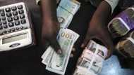 Naira in free fall, crashes against dollar amid CBN’s new policy, checkout new rate