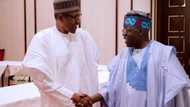 Breaking: Breaking: Tinubu finally opens up on National Assembly leadership tussle, his alleged interference