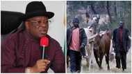 You can’t kill people as if they are fowls - Governor Umahi orders herdsmen to vacate community