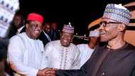 Buhari is my boss, I won't castigate or insult him to prove I am in opposition - PDP governor Umahi