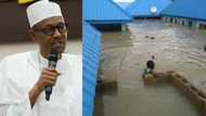 JUST IN: Buhari gives special order to emergency officials as flood renders over 100,000 homeless in Benue