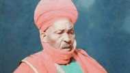 Tuna baya: Takaitaccen tarihin sadauki, Hassan Sarkin Dogarai