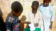 Kano underage voting saga: Details of INEC probe committee report leaked