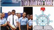 Courses offered in ☑Maritime Academy Oron