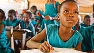 History of education in Nigeria: Islamic and Western systems