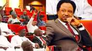 Apart of from N13.5m running cost, RMAFC reveals senators monthly salaries, allowances